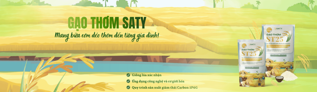 Sản xuất lúa theo mô hình công nghệ cao (AWD) - SATY