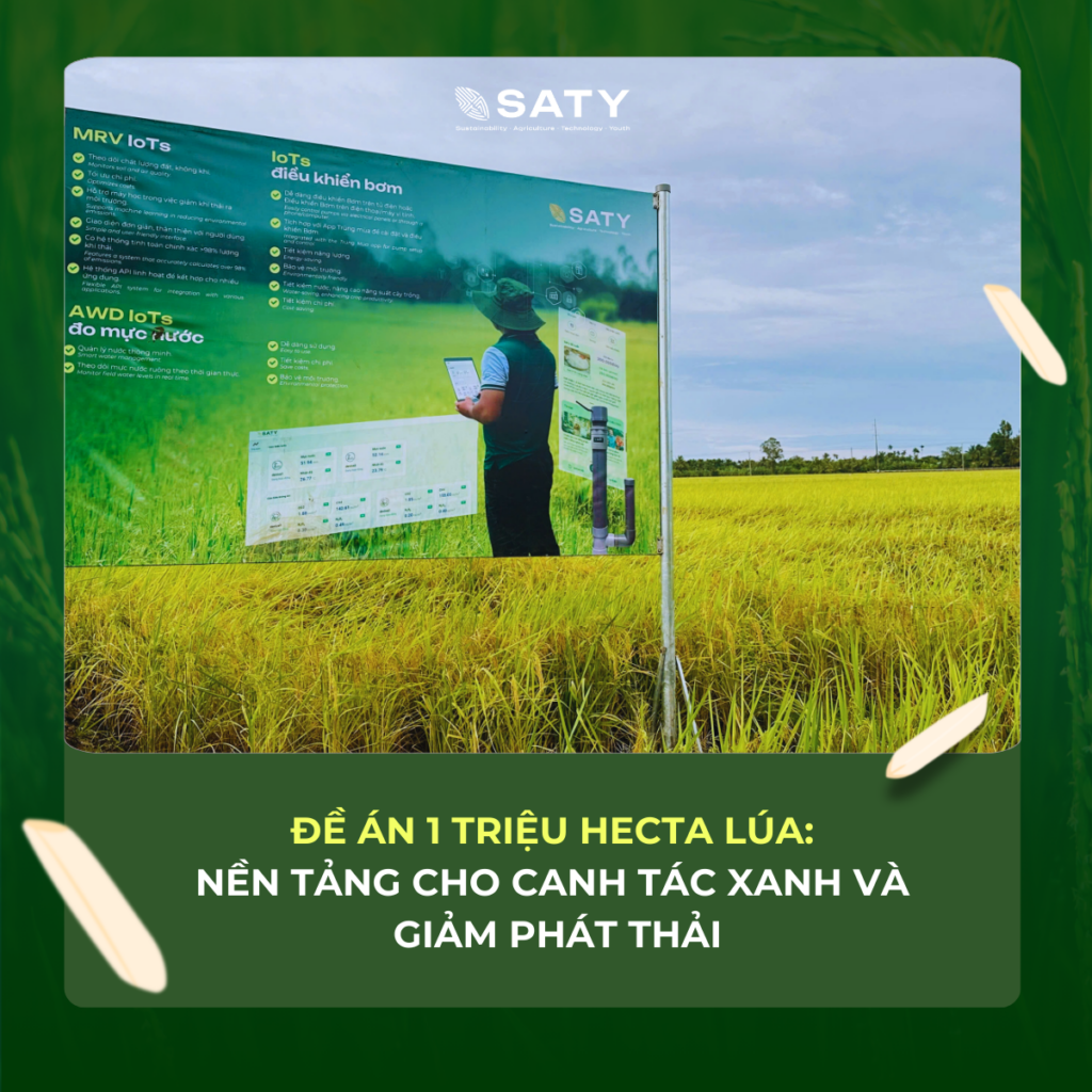 ĐỀ ÁN 1 TRIỆU HECTA LÚA: NỀN TẢNG CHO CANH TÁC XANH VÀ GIẢM PHÁT THẢI