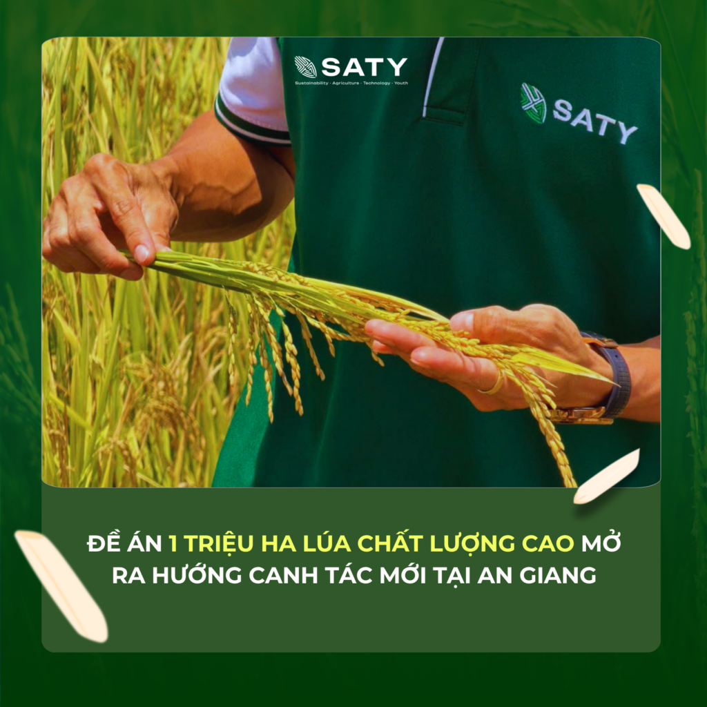 ĐỀ ÁN 1 TRIỆU HECTA LÚA GIẢM PHÁT THẢI MỞ RA HƯỚNG CANH TÁC MỚI CHO NÔNG DÂN